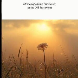Women Who Met God Through Prophets: Stories of Divine Encounter In The Old Testament (Biblical Portraits)