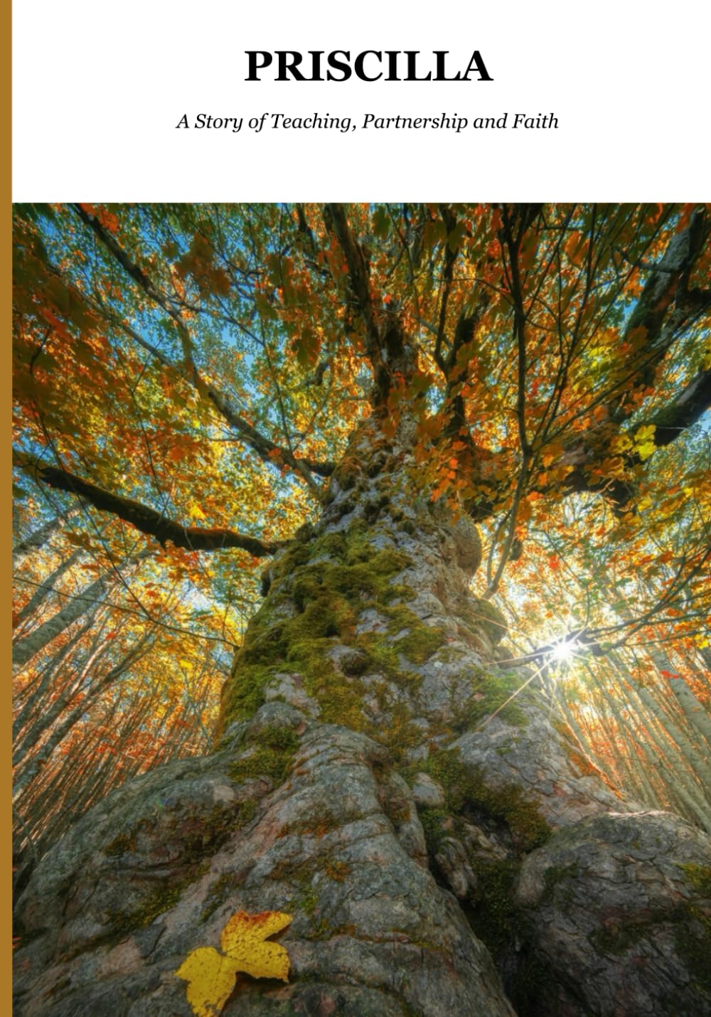 Priscillia: A Story of Teaching, Partnership and Faith (Biblical Portraits)