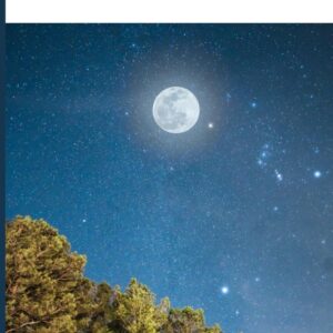 Rebecca: A Story of Calling, Courage and Consequence (Biblical Portraits)