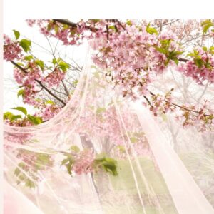 Ruth: A Story of Loyalty, Redemption and Belonging (Biblical Portraits)