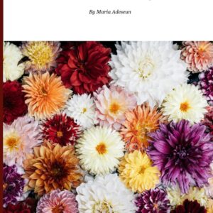 Salome: A Story of Loyalty, Witness and Endurance (Biblical Portraits)