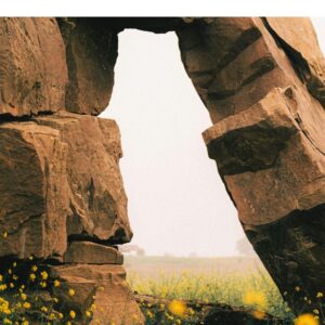 Rachel: A Story of Longing, Love and Loss. (Biblical Portraits)